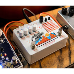 Electro-Harmonix Grand Canyon Delay & Looper | Music Experience | Shop Online | South Africa