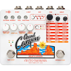 Electro-Harmonix Grand Canyon Delay & Looper | Music Experience | Shop Online | South Africa