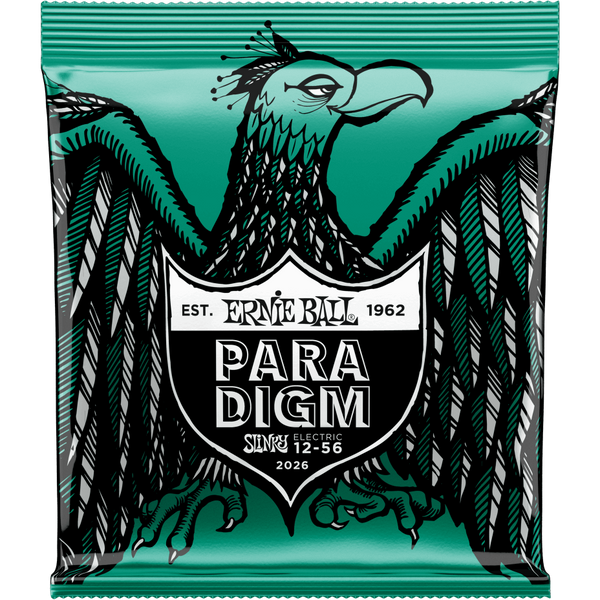Ernie Ball Slinky - Not Even Slinky Paradigm | Music Experience | Shop Online | South Africa
