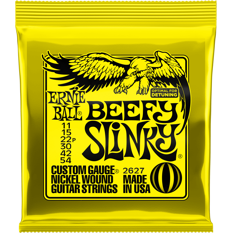 Ernie Ball Slinky - Not Even Slinky | Music Experience | Shop Online | South Africa
