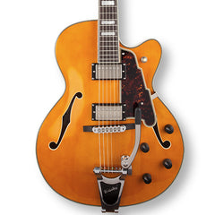 D'Angelico EX-175 Hollowbody | Electric Guitars Angola