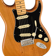 Fender American Professional II Stratocaster Roasted Pine Maple | Music Experience | Shop Online | South Africa