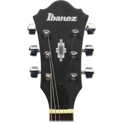 Ibanez AS53-TKF Artcore Transparent Black Flat | Music Experience | Shop Online | South Africa