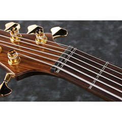 Ibanez BTB745-NTL BTB Series - Natural Low Gloss | Music Experience | Shop Online | South Africa