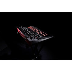 Korg Minilogue Bass Polyphonic Analogue Synthesizer | Music Experience | Shop Online | South Africa