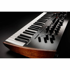 Korg Prologue-8 Polyphonic Analogue Synthesizer | Music Experience | Shop Online | South Africa