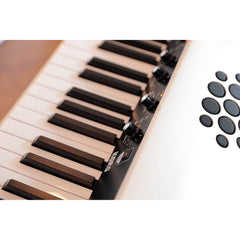 Korg SV-2S 88-key Stage Vintage Piano with Speaker System | Music Experience | Shop Online | South Africa