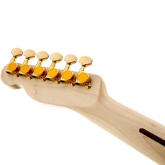 Fender Richie Kotzen Telecaster | Music Experience | Shop Online | South Africa
