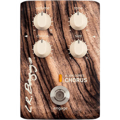 LR Baggs Align Series Chorus | Music Experience | Shop Online | South Africa