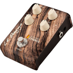 LR Baggs Align Series Chorus | Music Experience | Shop Online | South Africa