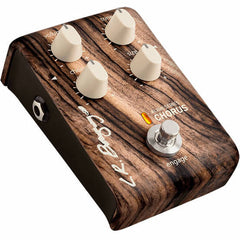 LR Baggs Align Series Chorus | Music Experience | Shop Online | South Africa