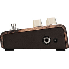 LR Baggs Align Series Chorus | Music Experience | Shop Online | South Africa