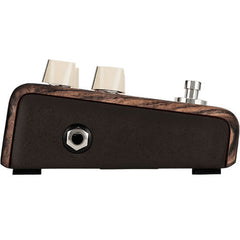 LR Baggs Align Series Chorus | Music Experience | Shop Online | South Africa