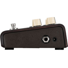 LR Baggs Align Series Delay | Music Experience | Shop Online | South Africa