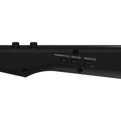 Roland AX-Edge 49-Key Keytar Synthesizer Black | Music Experience | Shop Online | South Africa