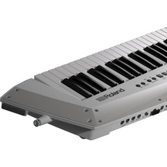 Roland AX-Edge 49-Key Keytar Synthesizer White | Music Experience | Shop Online | South Africa