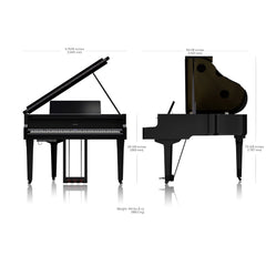 Roland GP-9 Digital Grand Piano Polished Ebony | Music Experience | Shop Online | South Africa