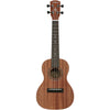 Alvarez RU22C Regent Series Concert Ukulele | Music Experience | Shop Online | South Africa