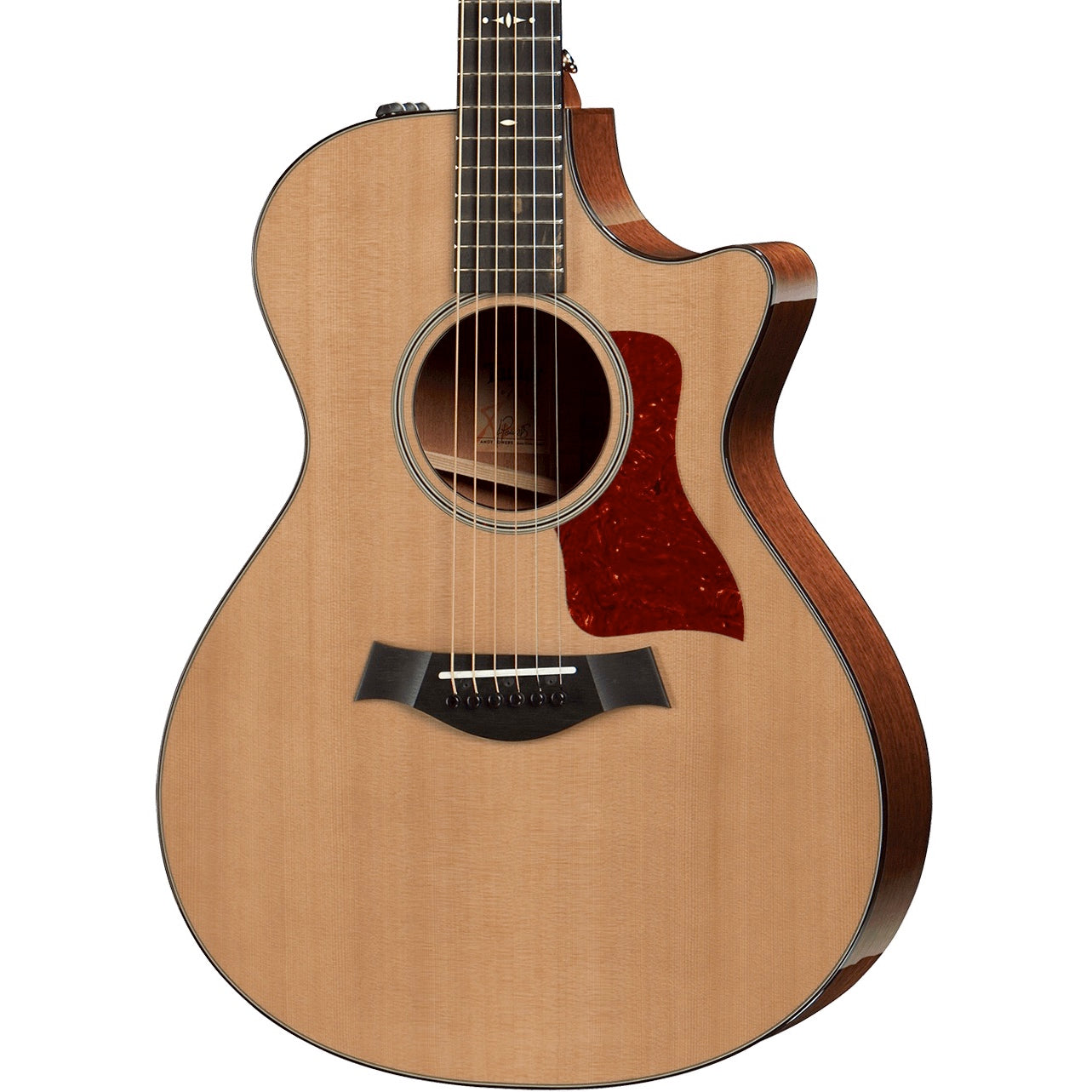 Taylor 512ce Grand Concert Tropical Mahogany | Music Experience | Shop Online | South Africa