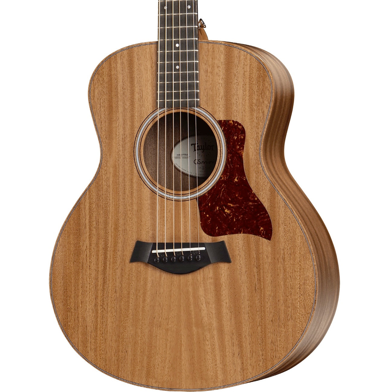 Taylor GS Mini-e Mahogany Natural | Music Experience | Shop Online | South Africa