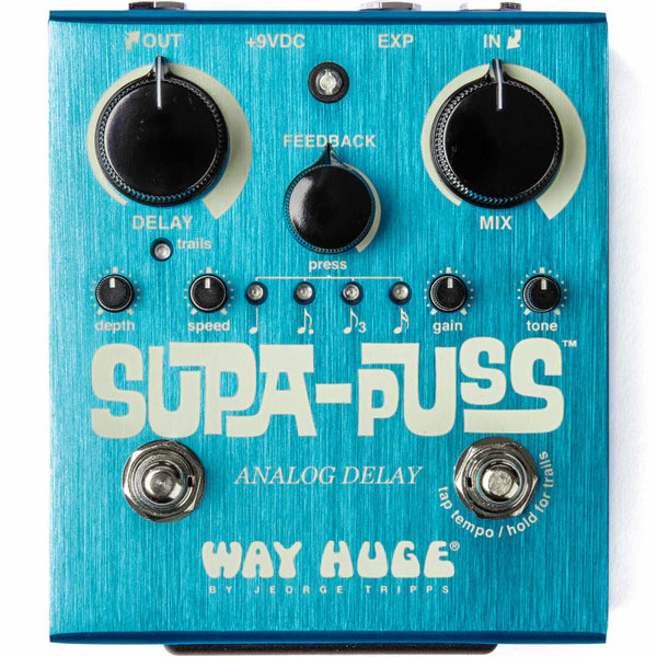 Way Huge Supa-Puss Analog Delay WHE707 | Music Experience | Shop Online | South Africa
