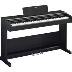 Yamaha Arius YDP-105B Digital Piano Black Walnut | Music Experience | Shop Online | South Africa