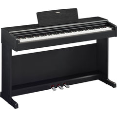 Yamaha Arius YDP-145B Digital Home Piano Black Walnut | Music Experience | Shop Online | South Africa