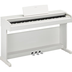 Yamaha Arius YDP-145WH Digital Home Piano Matte White | Music Experience | Shop Online | South Africa